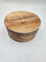 Silver Birch Bowl Blank 200mmx85mm