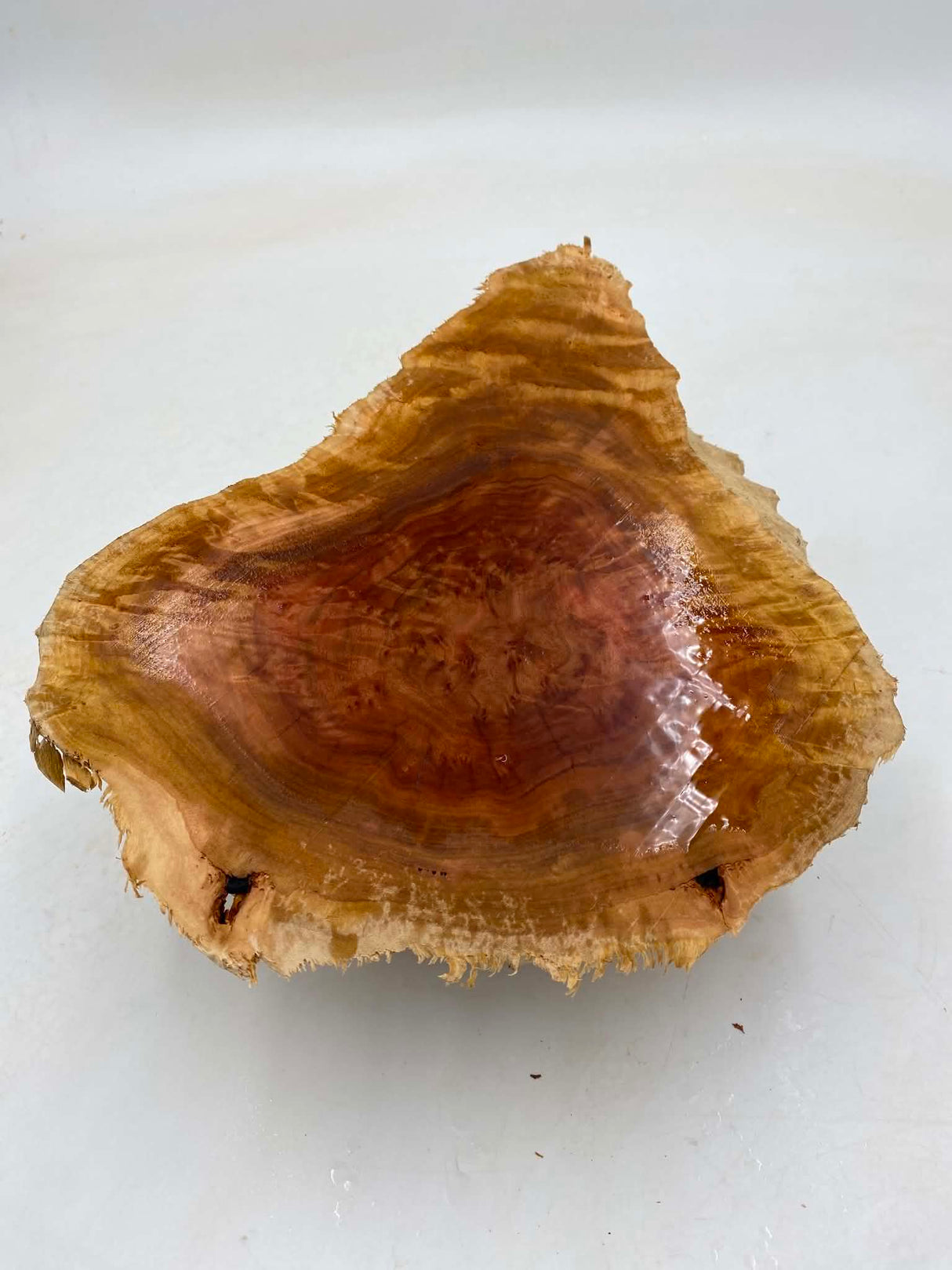 Red Mallee Burl 230 x 200 x 100mm