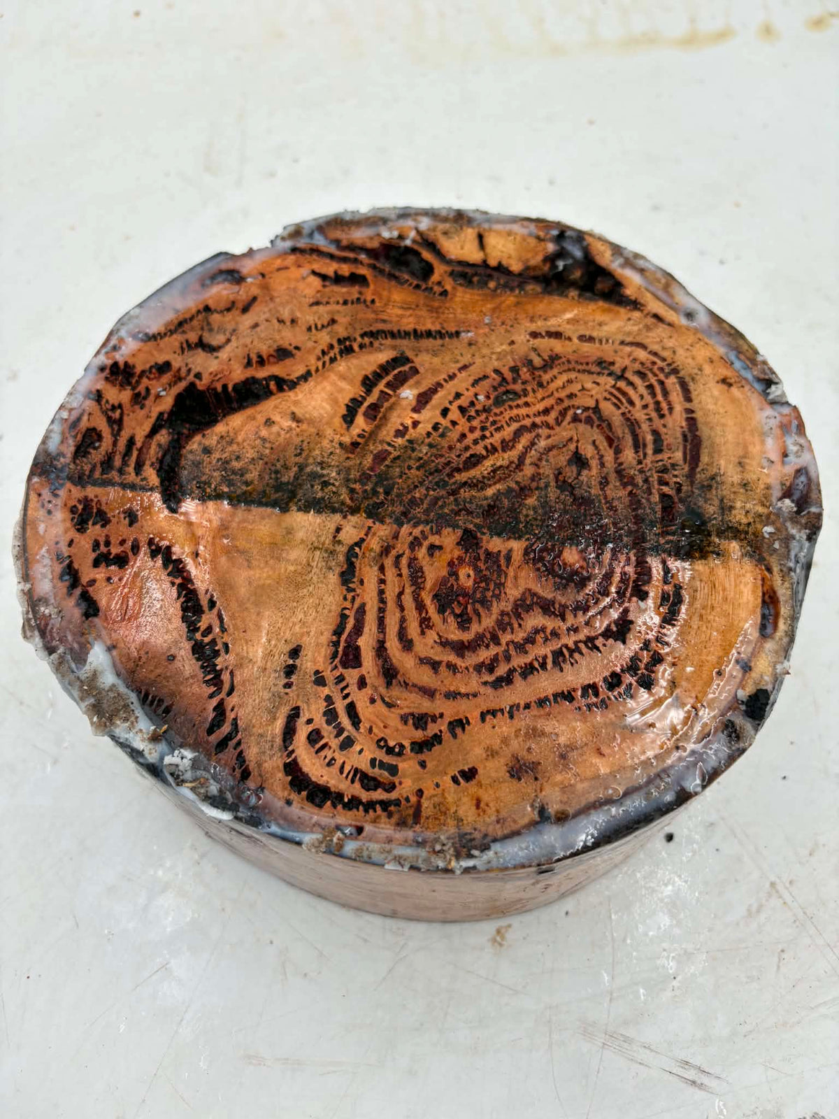 Messmate Burl Bowl Blank 180 x 70mm