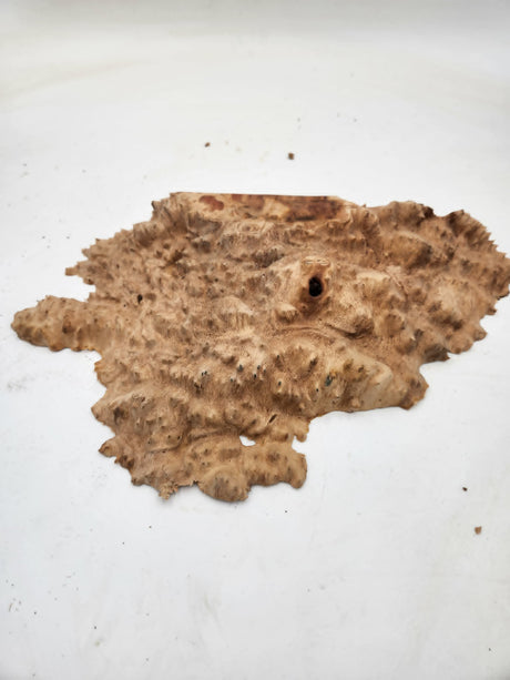 Red Mallee Burl 300x160x30mm