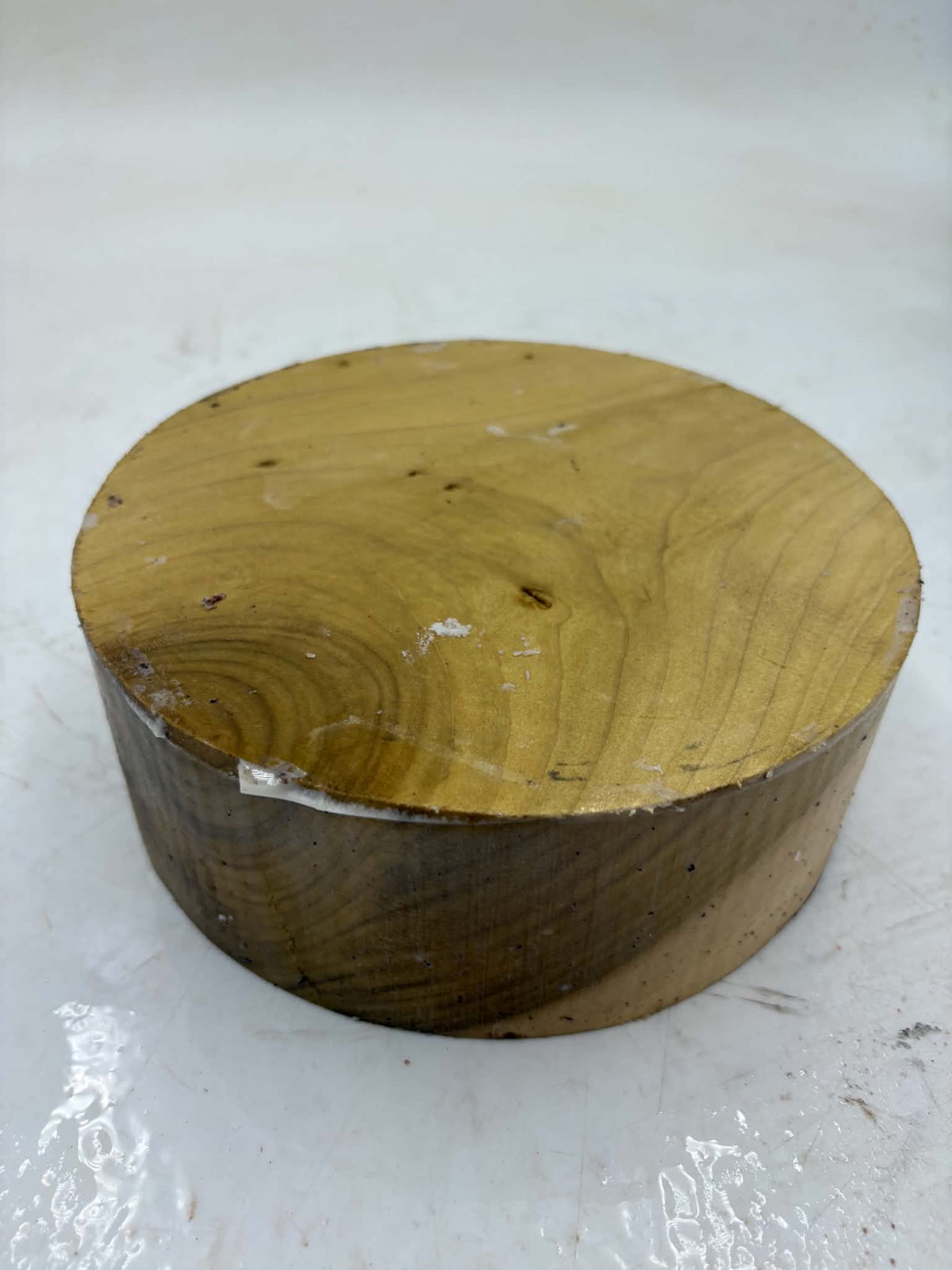 Tulipwood Bowl Blank 200 x 65mm