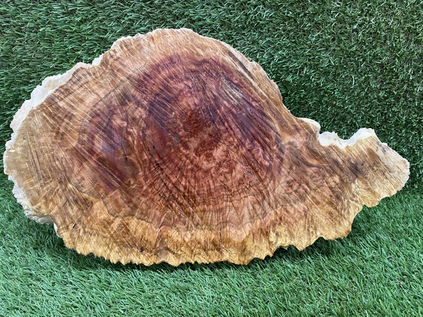 Red Mallee Burl 400 x 230 x 130mm