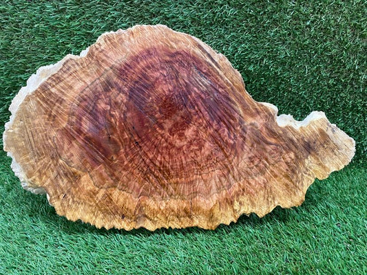 Red Mallee Burl 400 x 230 x 130mm