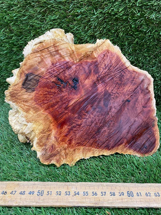 Red Mallee Burl 230 x 190 x 70mm