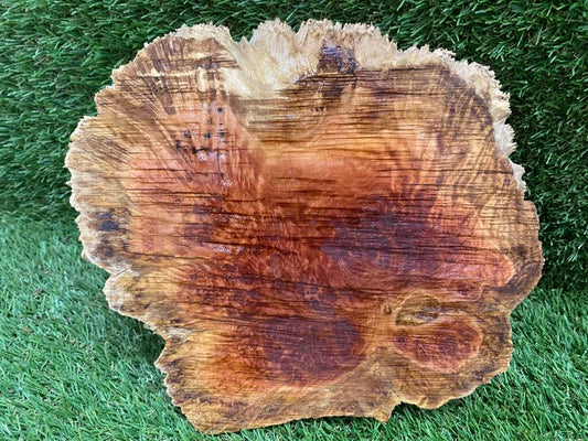 Red Mallee Burl 230 x 200 x 70mm