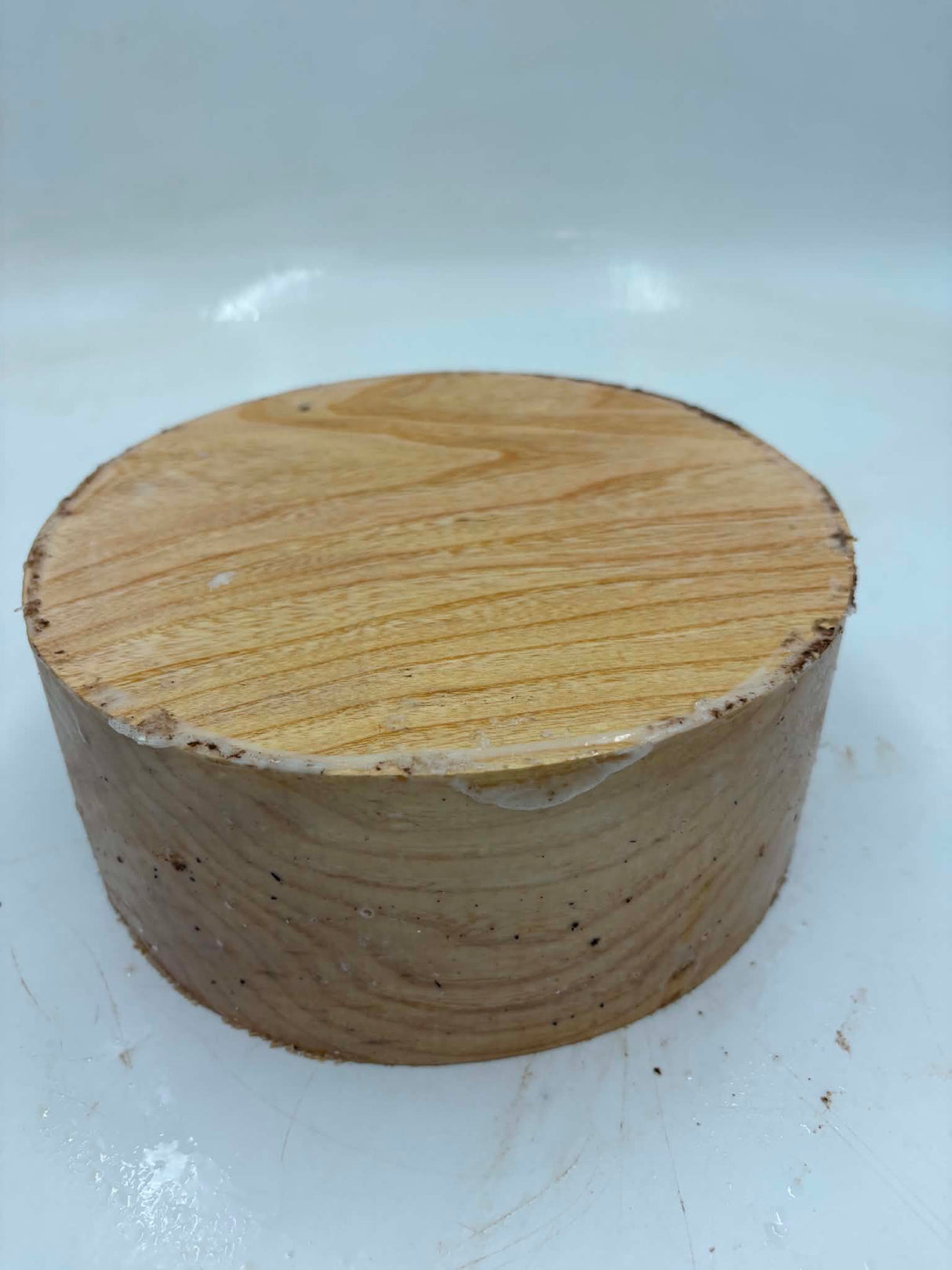 Golden Elm Bowl Blank 200 x 85mm