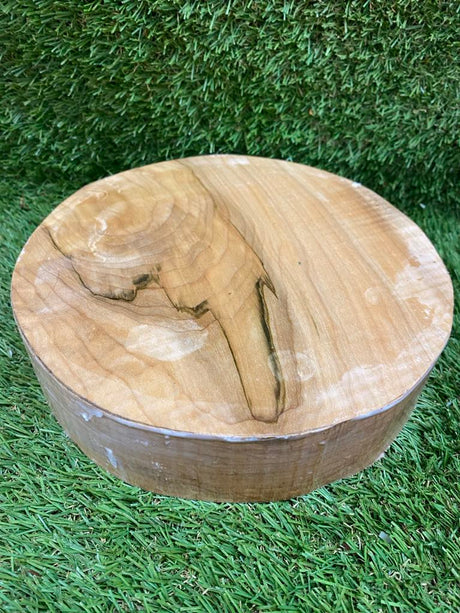 US Hard Maple Bowl Blank 200 x 50mm