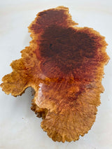 Red Mallee Burl 540 x 240 x 80mm