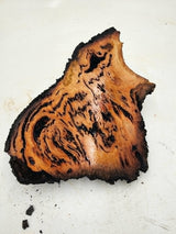 Forest Red Gum Burl 200x130x60mm