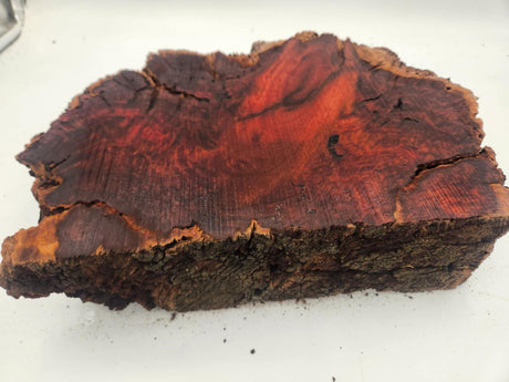 Red Gum Burl 350mmx220mmx80mm