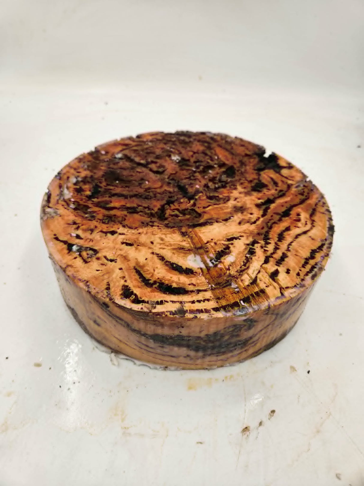 Forest Red Gum Burl Bowl Blank 250 x 75mm
