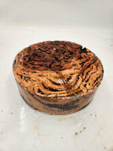Forest Red Gum Burl Bowl Blank 250 x 75mm