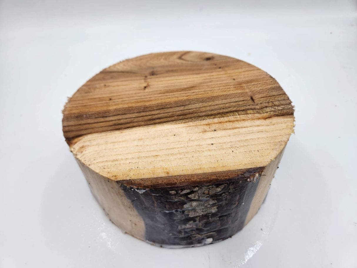 Dutch Elm Bowl Blank 180mmx85mm
