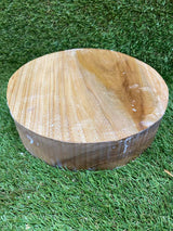 English Elm Bowl Blank 200 x 32mm