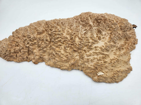 Red Mallee Burl 370mmx200mmx60mm