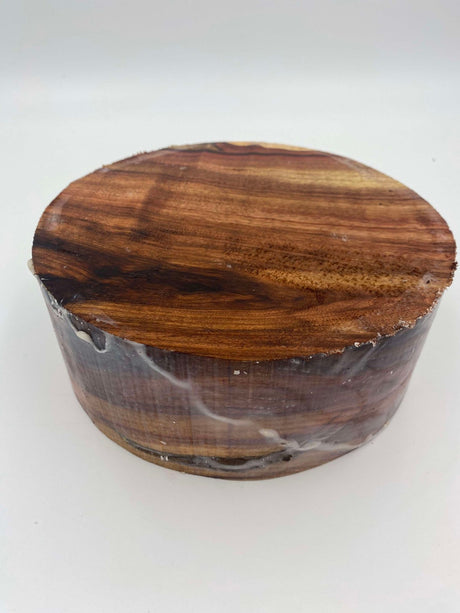 Camphor Laurel Bowl Blank (wet) 200 x 80mm