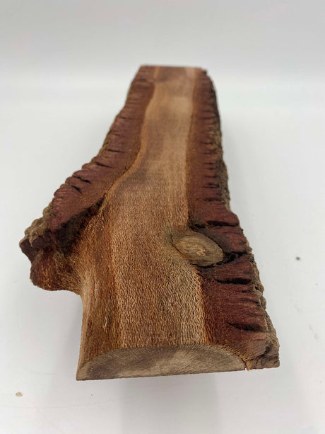 Banksia Slice 390 x 110 x 30mm