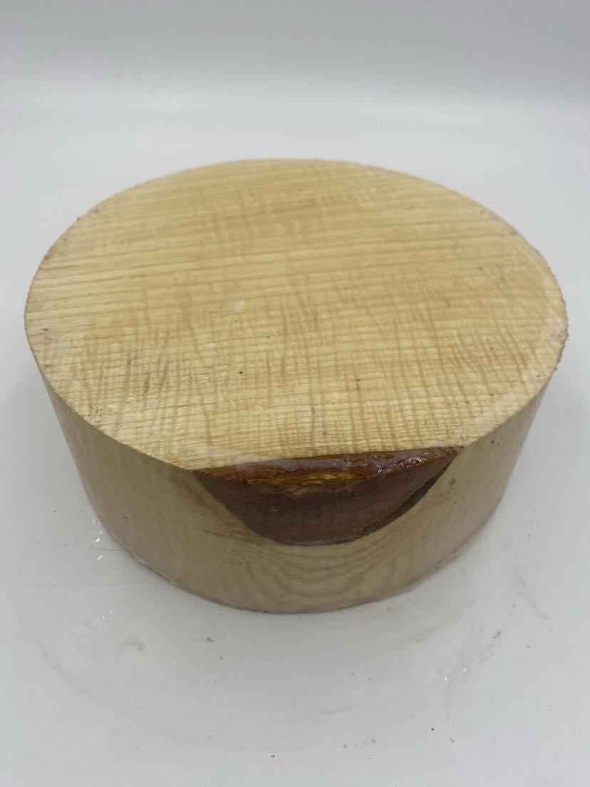 Claret Ash Bowl Blank 200 x 80mm
