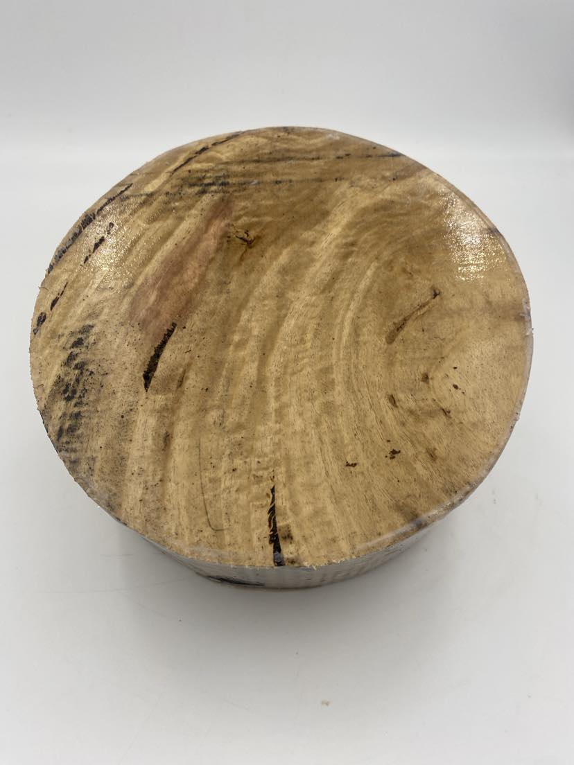 Stringybark Burl Bowl Blank (wet and green) 260 x 85mm