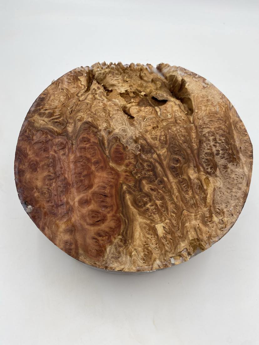 Red Mallee Burl Bowl Blank 220 x 50mm