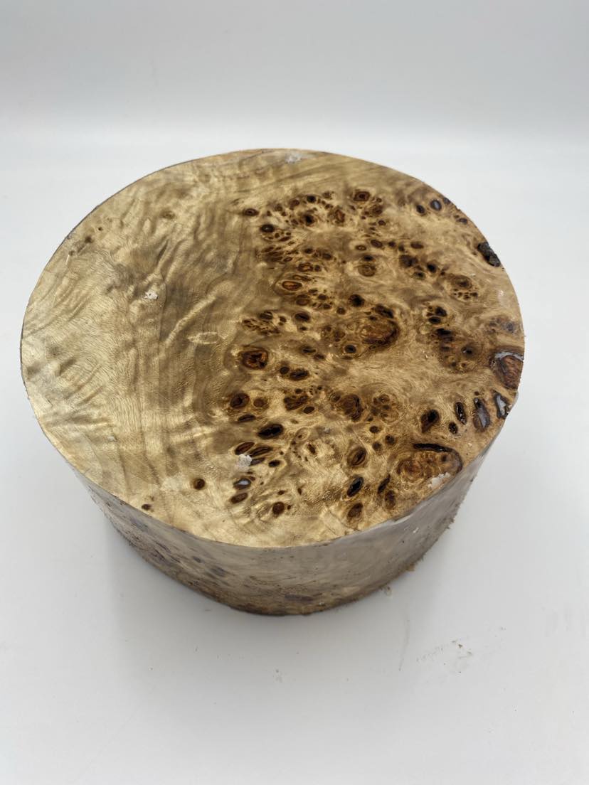 Poplar Burl Bowl Blank 180 x 85mm