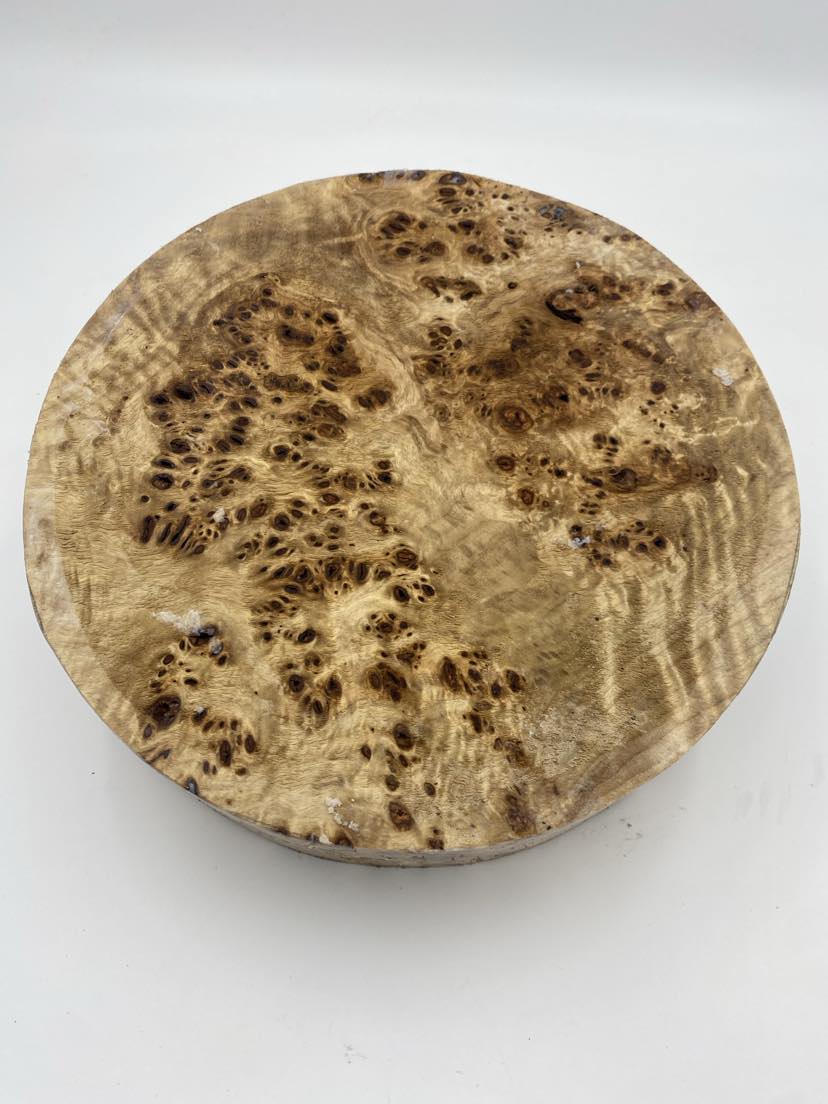 Poplar Burl Bowl Blank 260 x 60mm