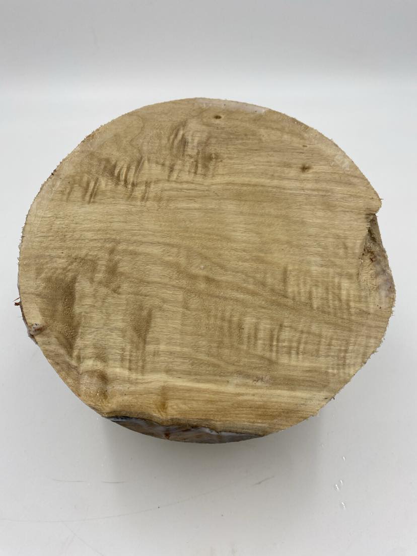 Poplar Bowl Blank 150 x 80mm