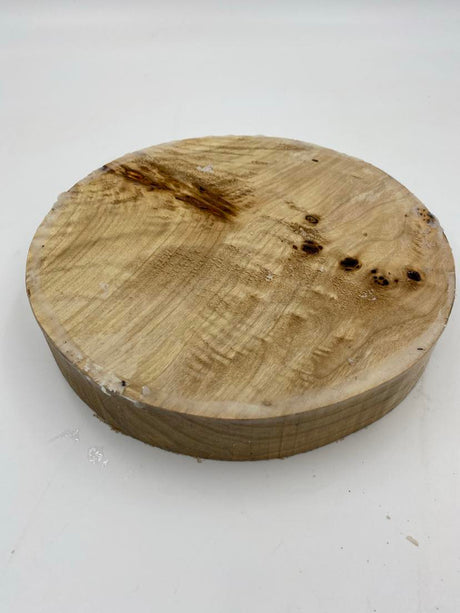 Poplar Burl Bowl Blank 220 x 35mm