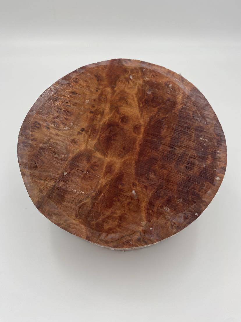 Red Mallee Burl Bowl Blank 180 x 50mm