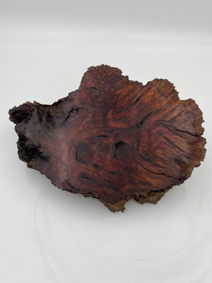 Red Gum Burl Slice 270 x 210 x 40mm