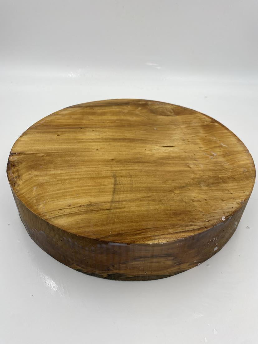 Hoop Pine Bowl Blank with Spalting 310 x 65mm