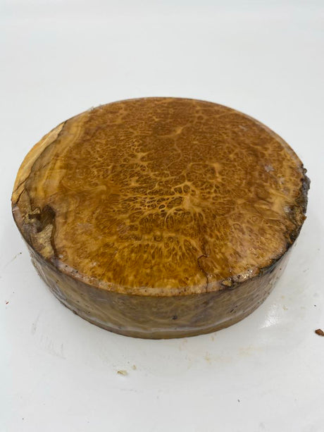 Brown Mallee Burl Bowl Blank 165 x 45mm