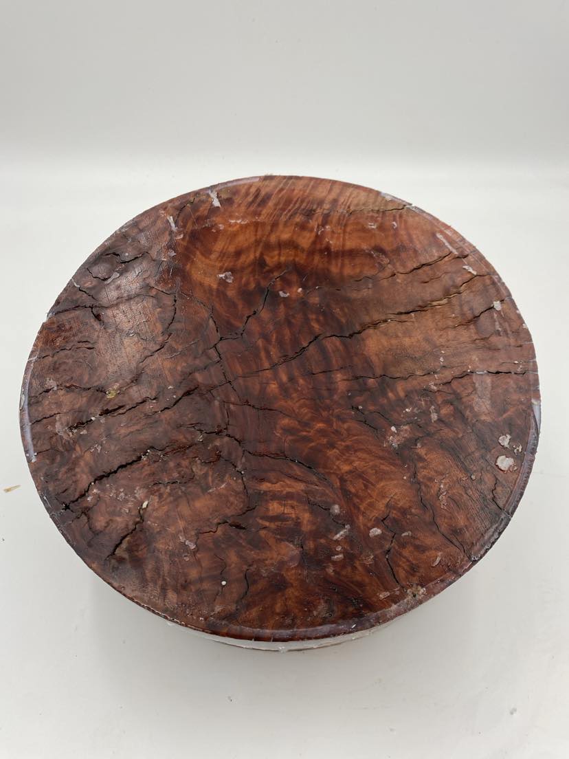 Red Gum Burl Bowl Blank 260 x 70mm