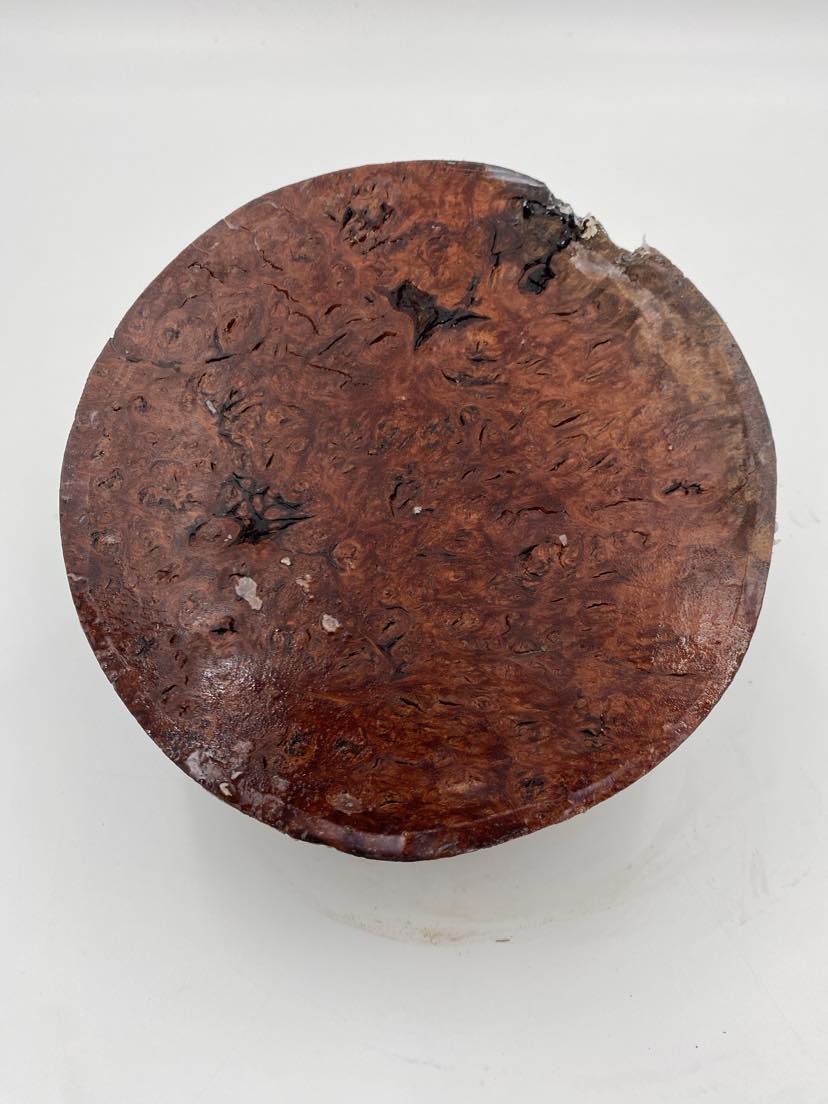 Red Gum Burl Bowl Blank 165 x 50mm