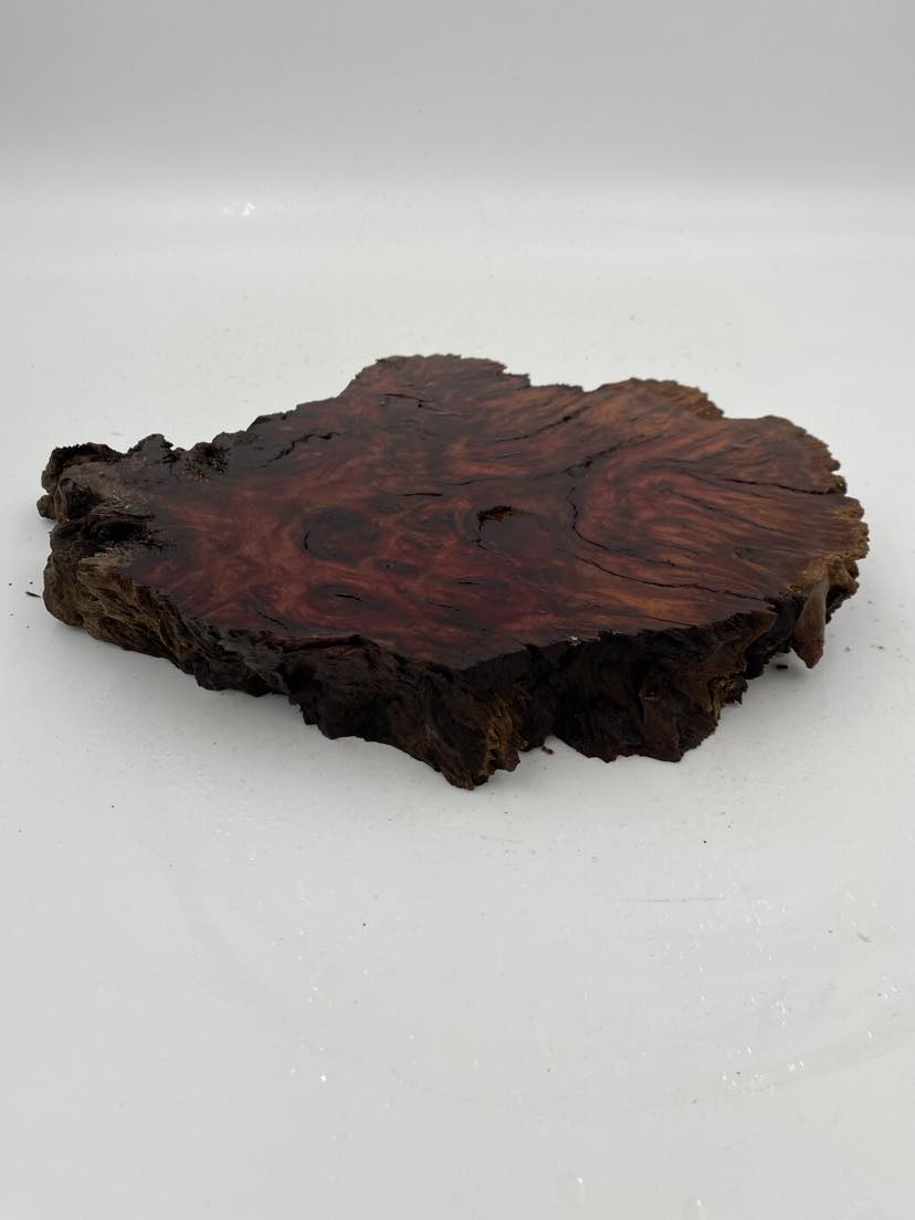 Red Gum Burl Slice 270 x 210 x 40mm