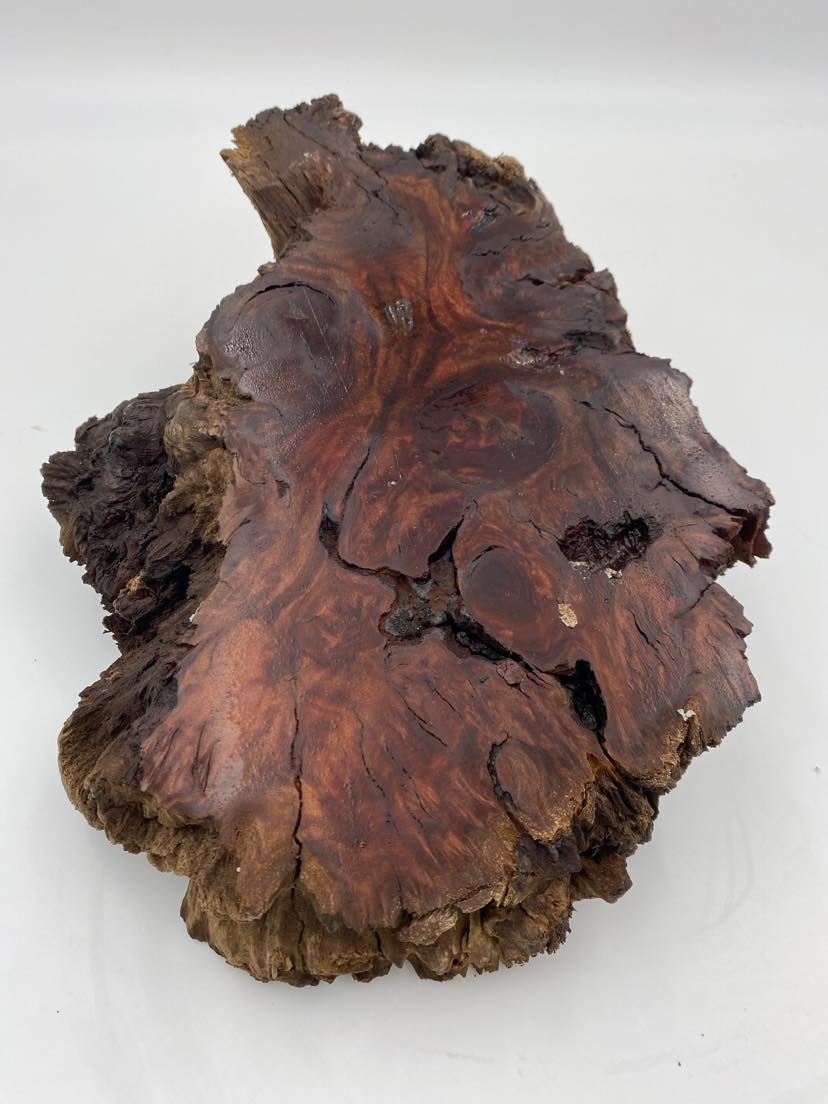 Red Gum Burl Slice 270 x 210 x 40mm