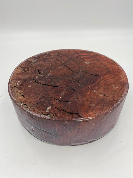 Red Gum Burl Bowl Blank 260 x 70mm