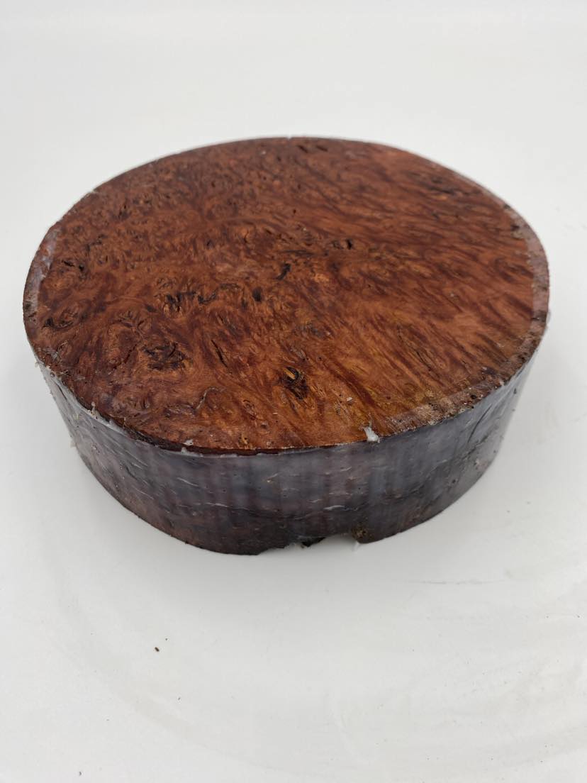 Red Gum Burl Bowl Blank 165 x 50mm