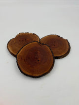 Banksia Slices 105 x 10mm Pack of 3