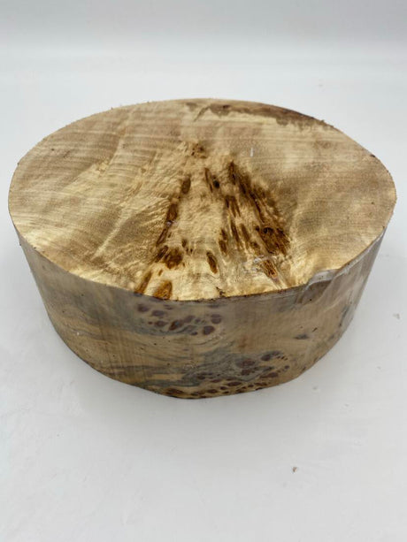 Poplar Burl Bowl Blank 220 x 80mm