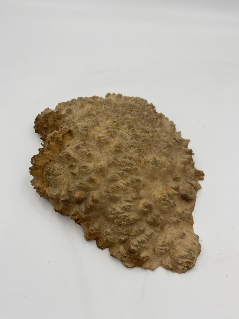 Red Mallee Burl 230 x 180 x 50mm