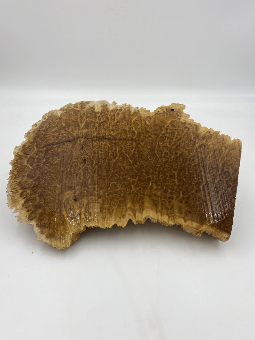 Brown Mallee Burl 330 x 190 x 60mm