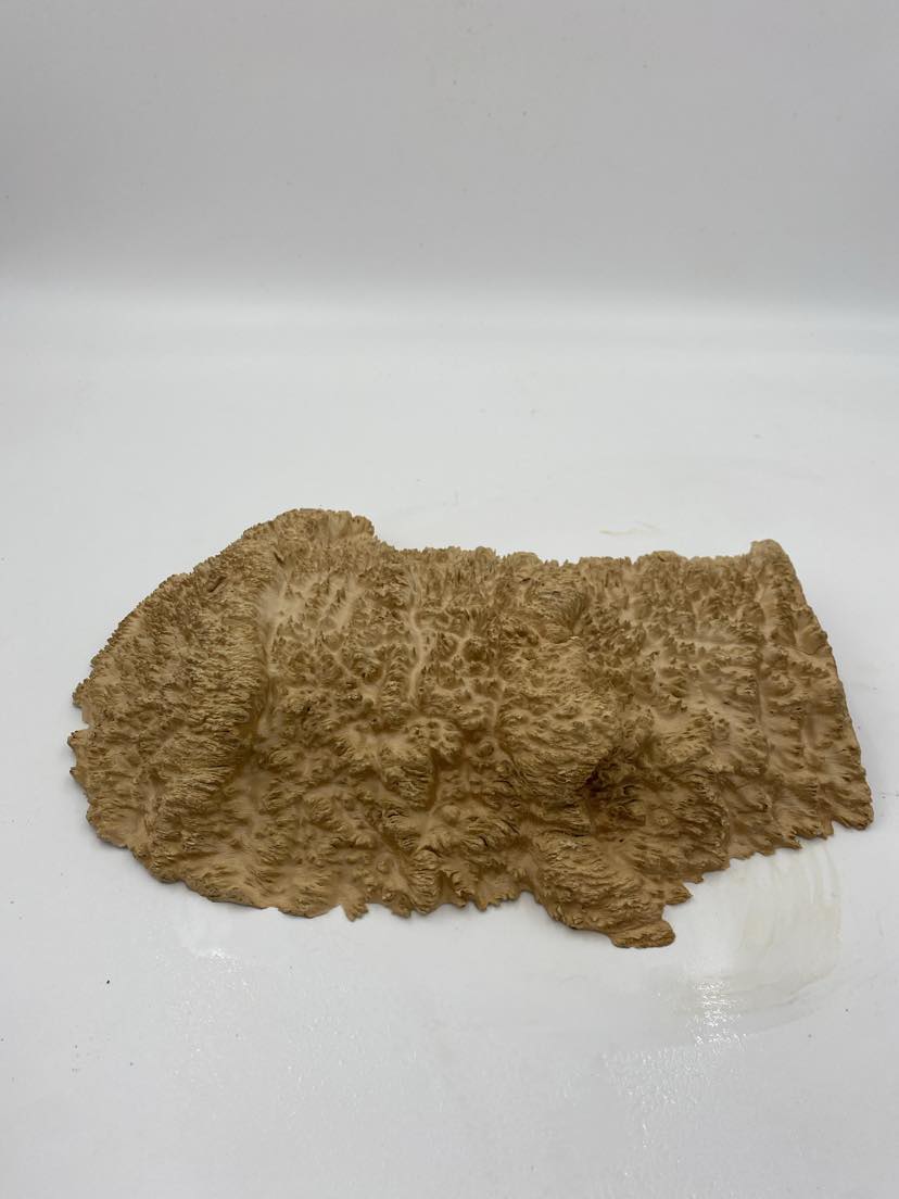 Brown Mallee Burl 330 x 190 x 60mm