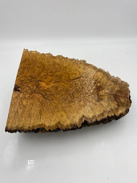 Brown Mallee Burl 2980 x 210 x 100mm