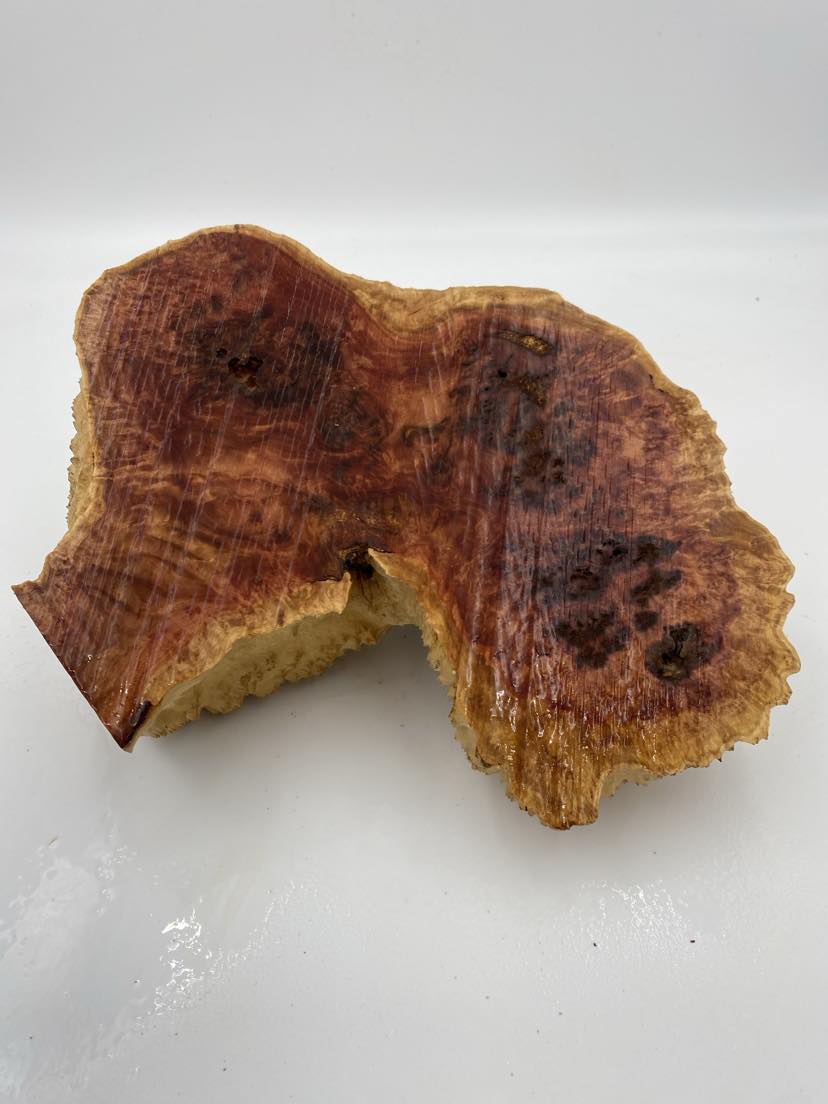 Red Mallee Burl 300 x 160 x 80mm