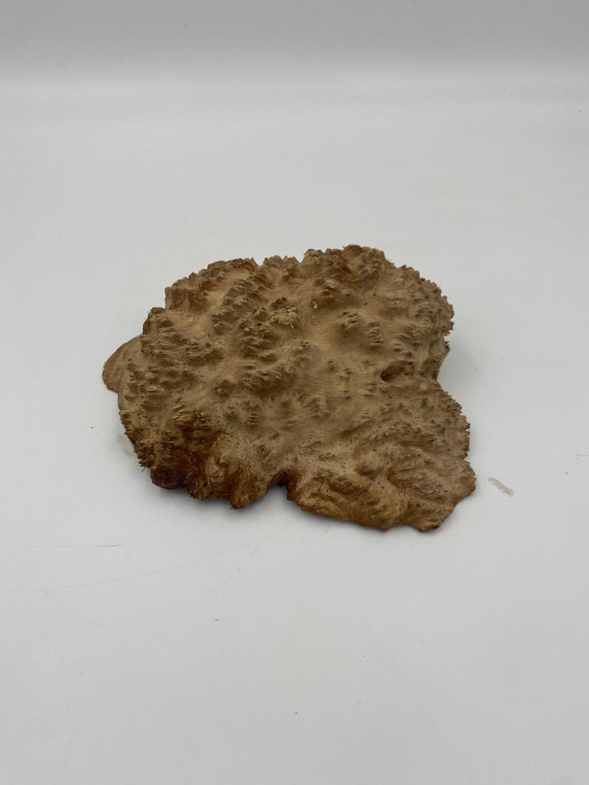 Red Mallee Burl 190 x 130 x 40mm