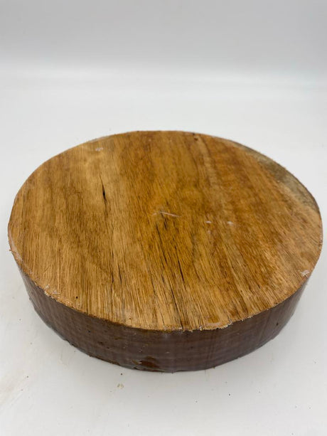 Victorian Ash Bowl Blank 260 x 50mm