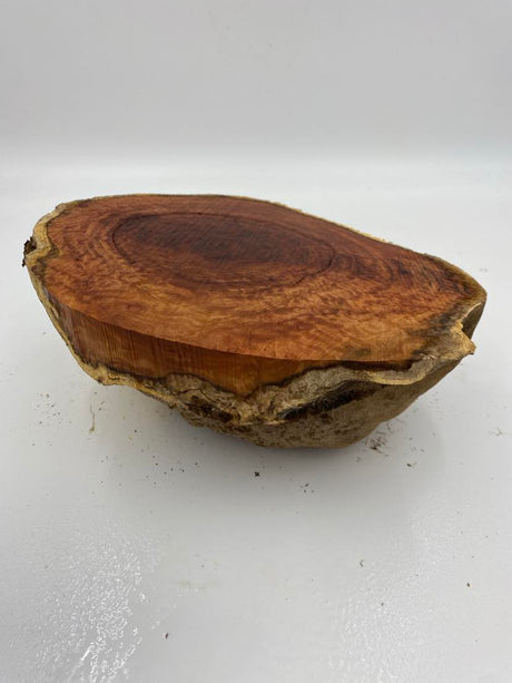 Red Mallee Burl 180 x 200 x 110mm