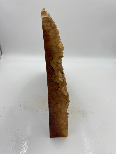 Red Mallee Burl 400 x 240 x 50mm