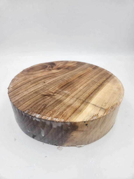 Dutch Elm Bowl Blank 260mmx70mm